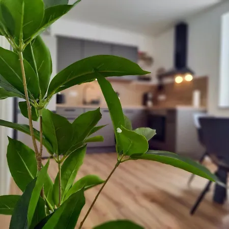 Apartman Hygge - Mit Garten Und Stellplatz Fuer Feriengaeste-, Monteure / Netflix / 10 Min. Zur Therme Und Zur Autobahn