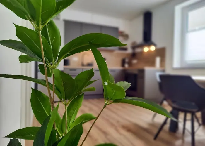 Appartement Hygge - Mit Garten Und Stellplatz Fuer Feriengaeste-, Monteure / Netflix / 10 Min. Zur Therme Und Zur Autobahn